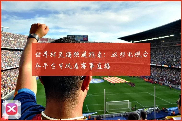 世界杯直播频道指南:这些电视台和平台可观看赛事直播
