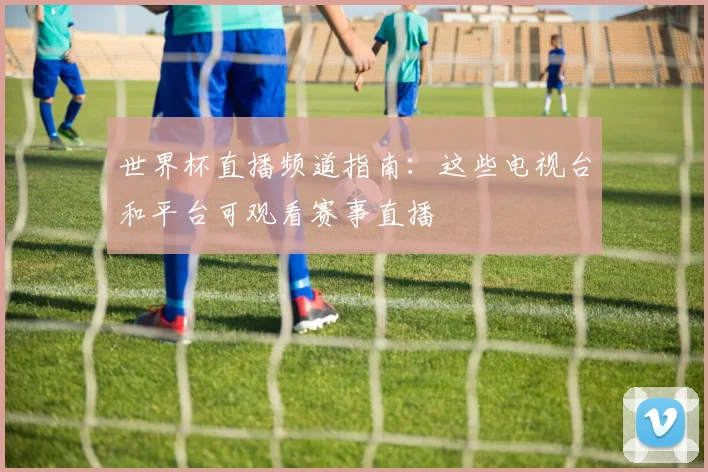 世界杯直播频道指南：这些电视台和平台可观看赛事直播